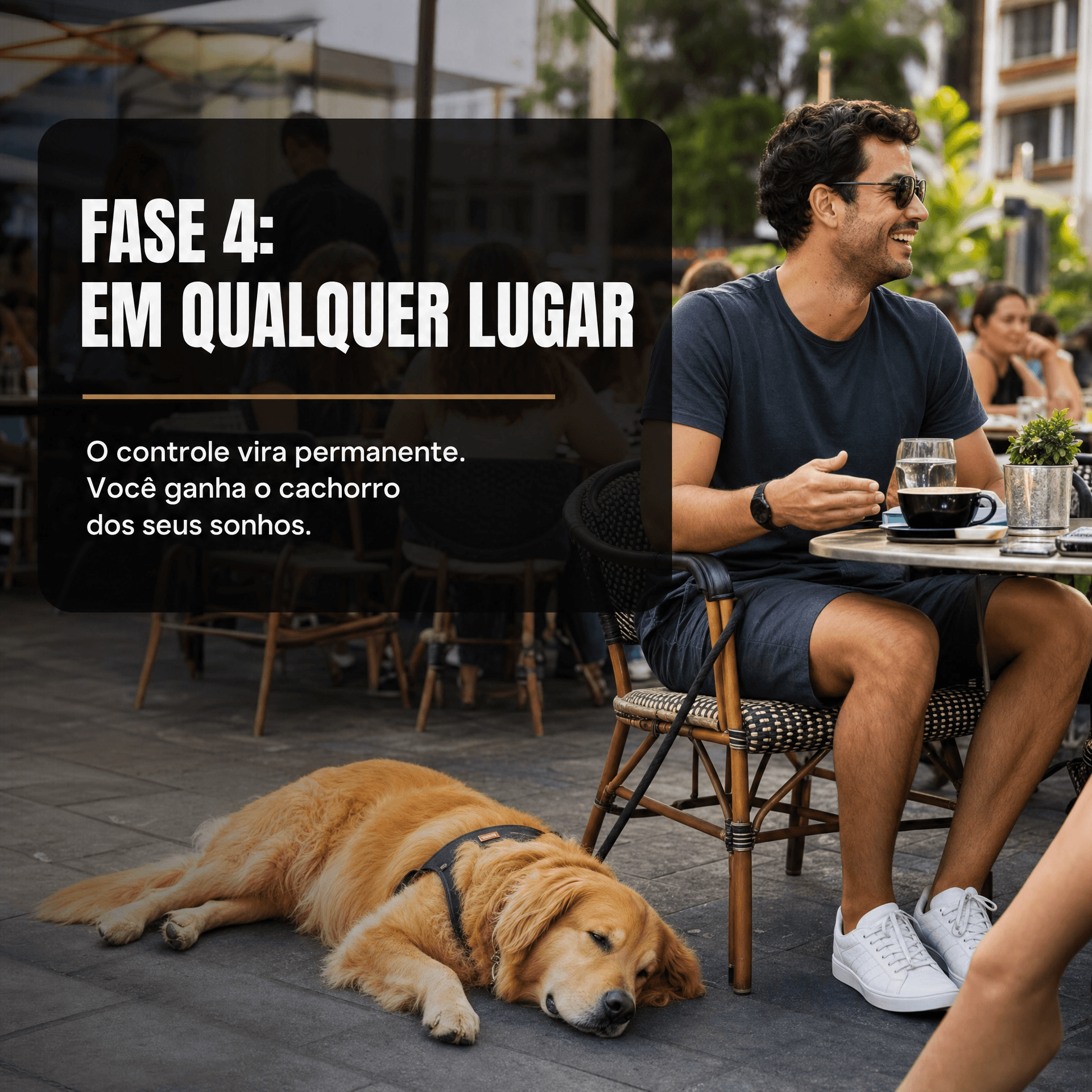 Infográfico da Fase 4, Em Qualquer Lugar: o controlo torna-se permanente e o tutor leva o cão a qualquer lugar com confiança